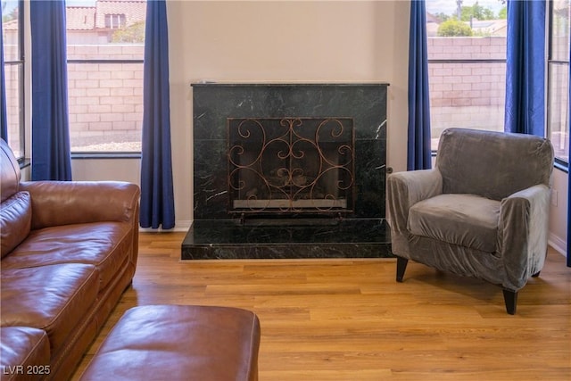 living area featuring a high end fireplace and wood finished floors