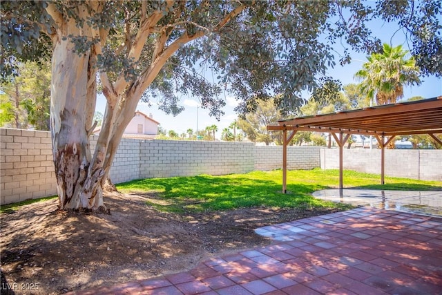 view of yard featuring a fenced backyard and a patio