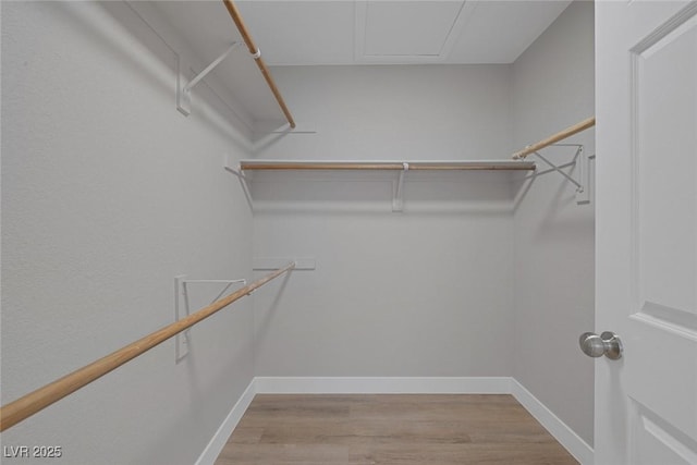 spacious closet with light wood-style flooring