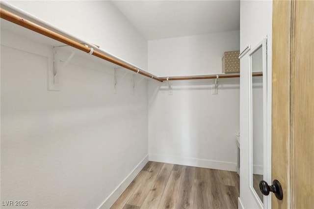 7566 Hope Valley St, Las Vegas, NV 89139 - walk in closet featuring wood finished floors