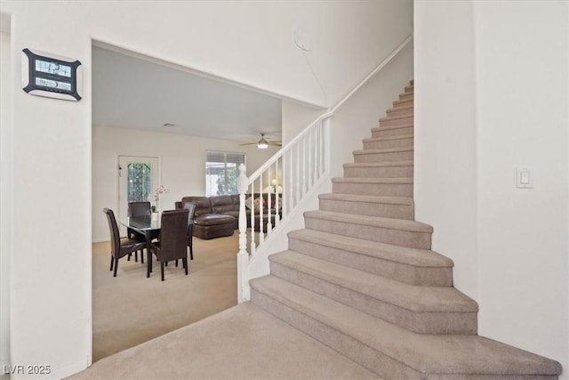 stairs with carpet floors and a ceiling fan