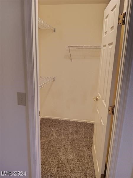 spacious closet with carpet