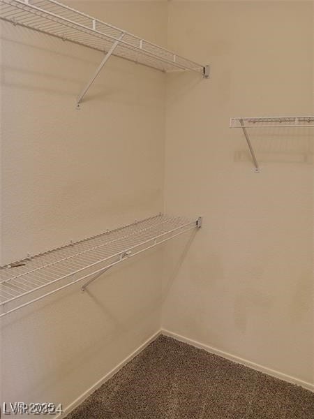 walk in closet with carpet floors