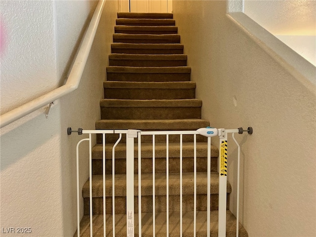 staircase with a textured wall