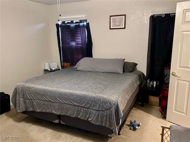 view of carpeted bedroom