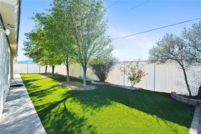 view of yard with a fenced backyard