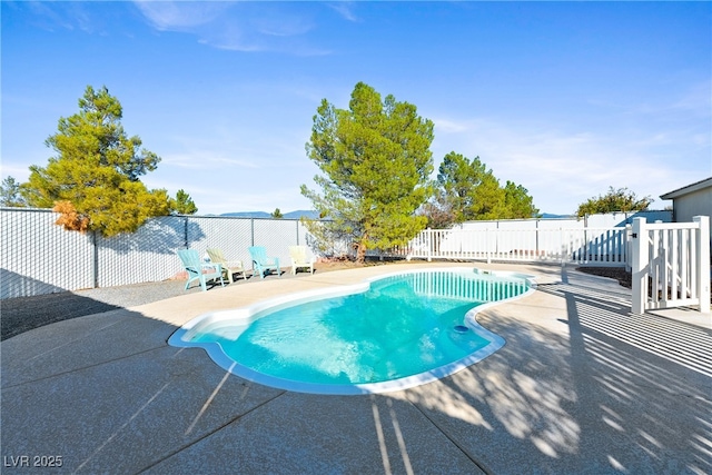 view of swimming pool featuring a fenced in pool, a fenced backyard, and a patio area