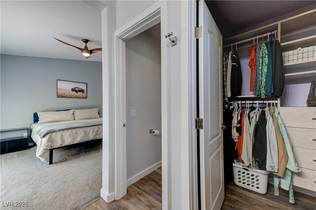 view of closet
