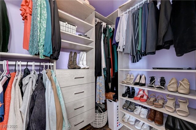 view of walk in closet