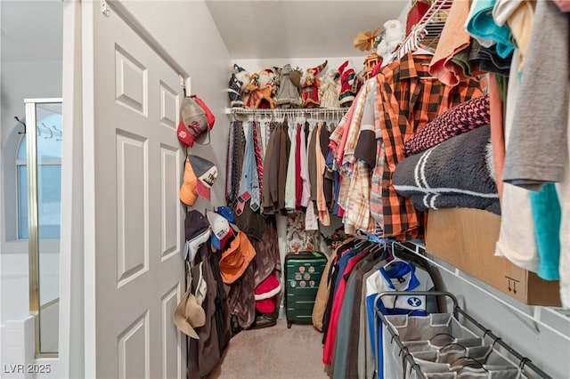 spacious closet with carpet flooring
