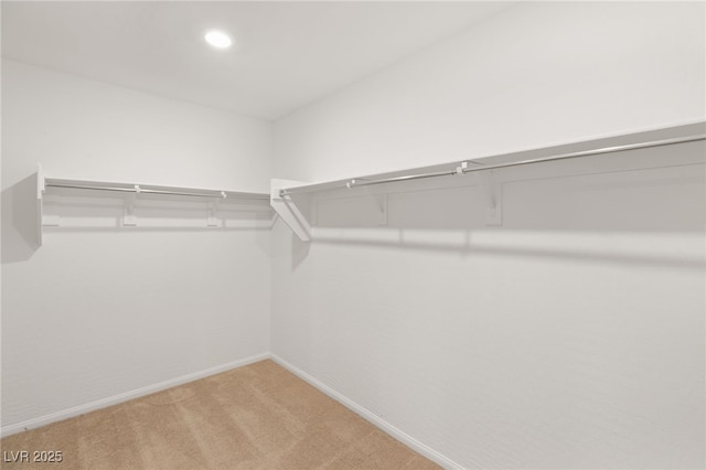 spacious closet featuring carpet floors