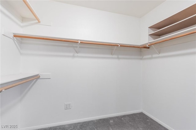 1084 Little House Ct, Henderson, NV 89011 - spacious closet featuring carpet