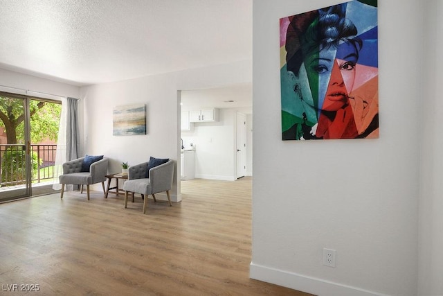4980 Indian River Dr Unit 447, Las Vegas, NV 89103 - living area featuring baseboards, light wood-style floors, and a textured ceiling