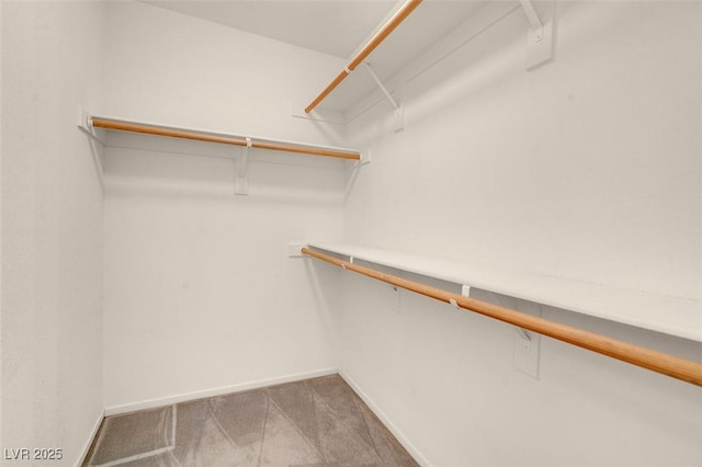spacious closet featuring carpet floors