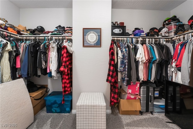 356 Silva Pl, Henderson, NV 89011 - walk in closet with carpet floors