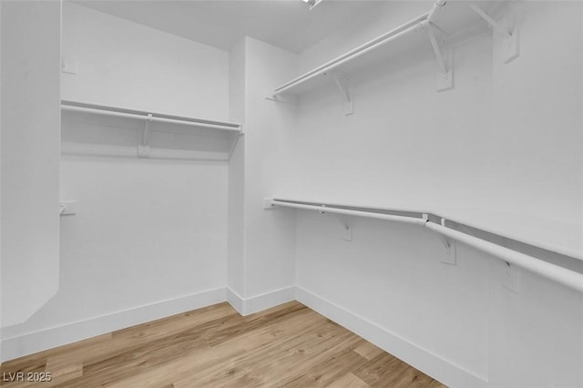 8725 Russet Hills Ct, Las Vegas, NV 89147 - walk in closet with light wood-style floors