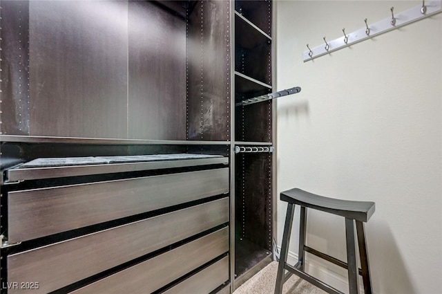 view of walk in closet