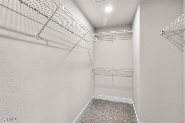 spacious closet featuring carpet floors