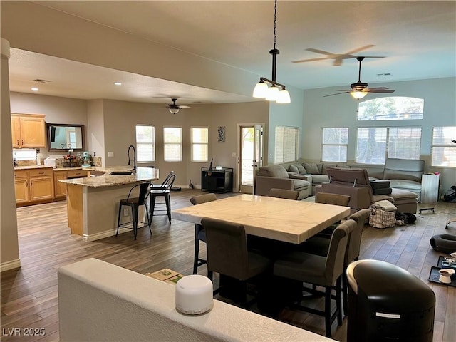 dining area featuring ceiling fan, a wealth of natural light, and hardwood / wood-style flooring
