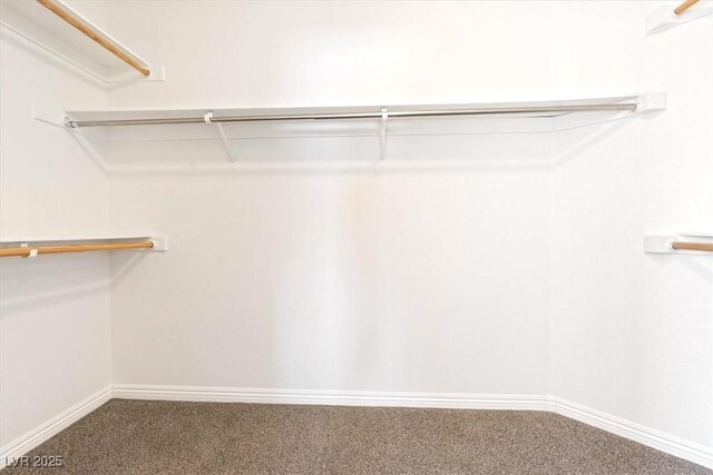 walk in closet featuring carpet