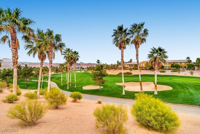 view of community featuring a lawn, view of golf course, and a mountain view