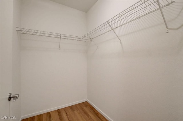 spacious closet with light wood-style floors