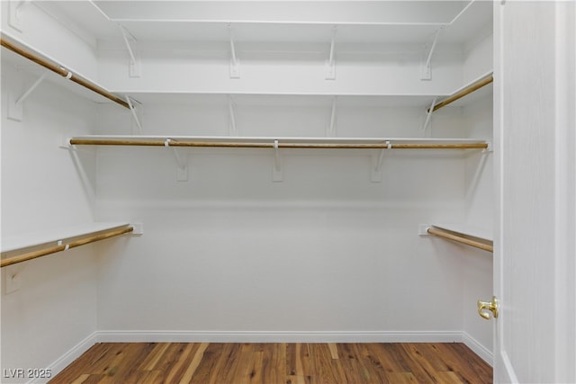 walk in closet featuring wood finished floors