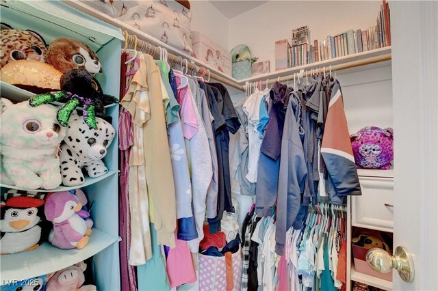 view of spacious closet