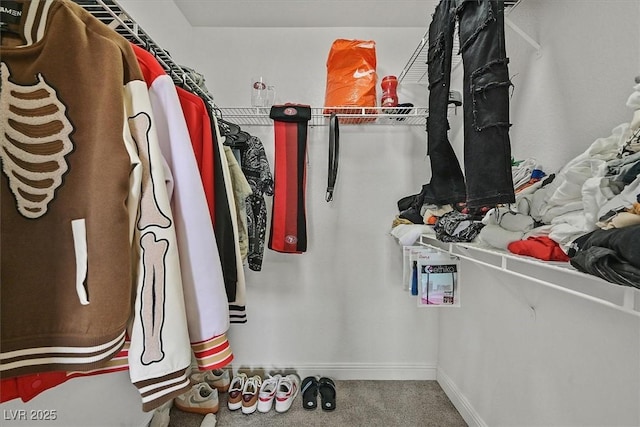 spacious closet with carpet