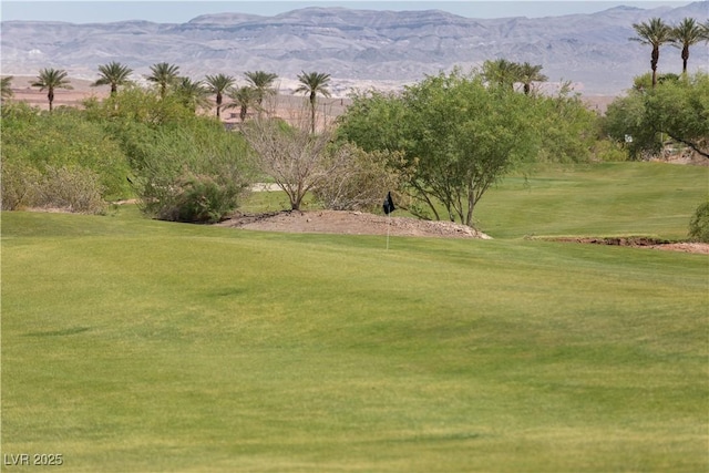 16 Cresta Villa Ct, Henderson, NV 89011 - photo 75