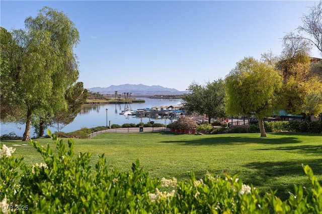 16 Cresta Villa Ct, Henderson, NV 89011 - photo 88