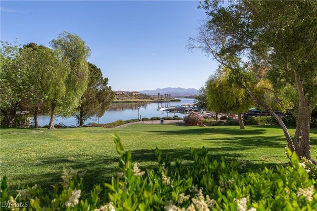 16 Cresta Villa Ct, Henderson, NV 89011 - photo 89