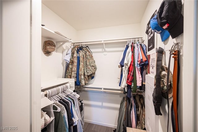 walk in closet featuring wood finished floors