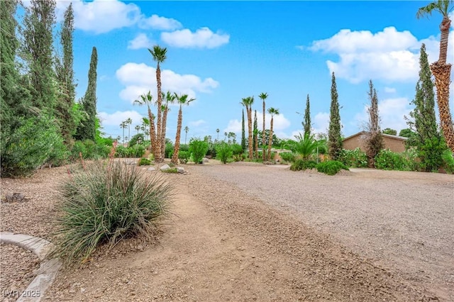 3065 S Torrey Pines Dr, Las Vegas, NV 89146 - view of home's community