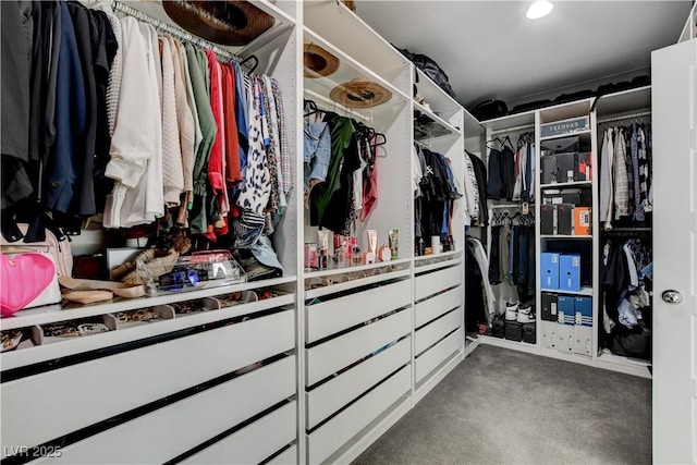 spacious closet with carpet flooring
