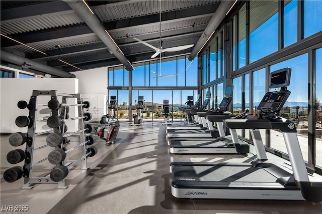 5436 Succulent Rose Dr, Las Vegas, NV 89135 - exercise room featuring a high ceiling and floor to ceiling windows