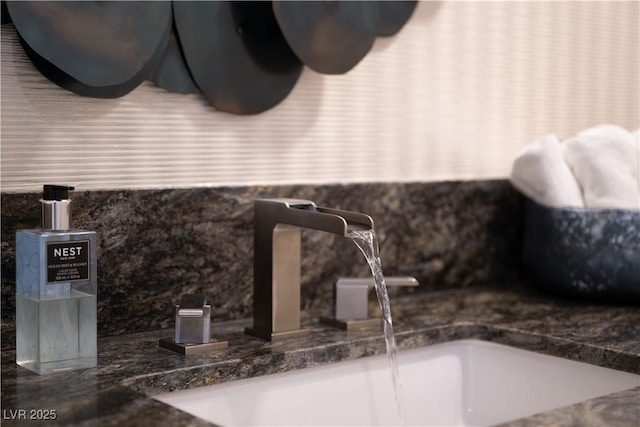 interior details featuring a sink