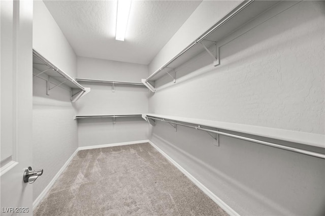 12705 Coastline Shadow St, Las Vegas, NV 89141 - walk in closet featuring carpet flooring