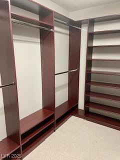 view of walk in closet