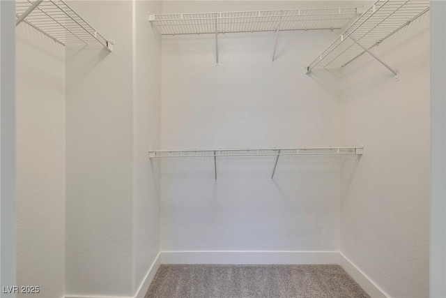 8824 Charm Canyon Ave, Las Vegas, NV 89178 - spacious closet featuring carpet flooring