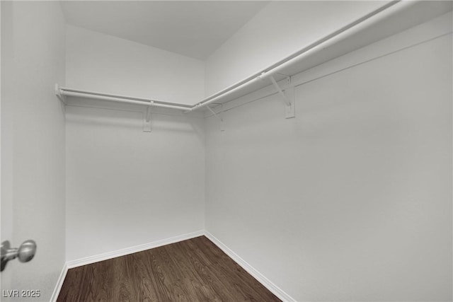 6525 Bismark Hills St, North Las Vegas, NV 89084 - spacious closet with dark wood-type flooring