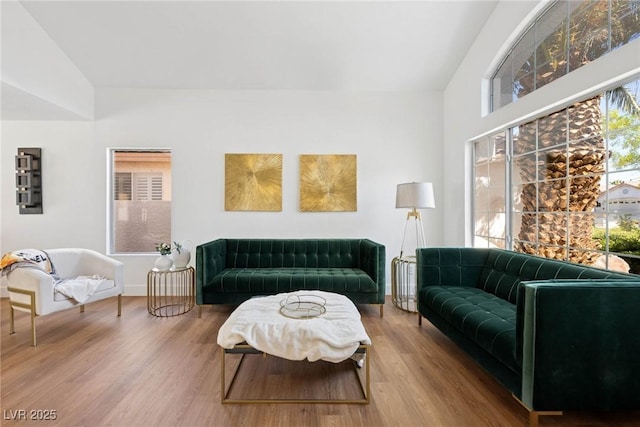 living room with wood finished floors