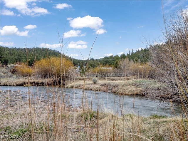 water view with a wooded view