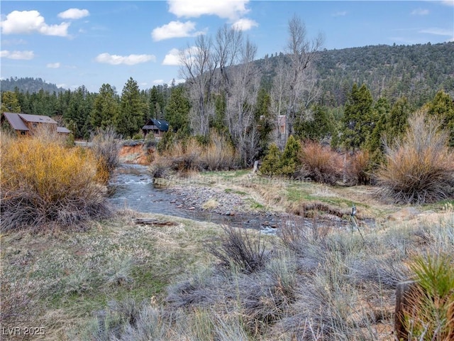 view of local wilderness featuring a wooded view