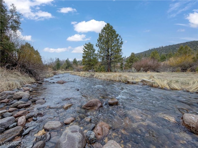 view of nature