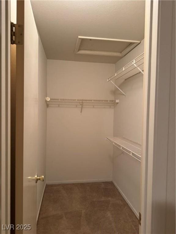 spacious closet with attic access and dark carpet
