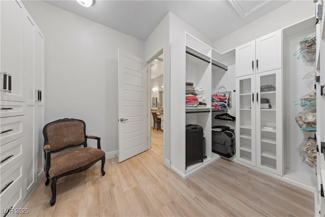walk in closet with light wood-type flooring