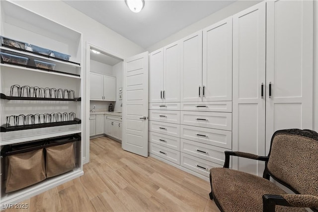 spacious closet with light wood-style flooring