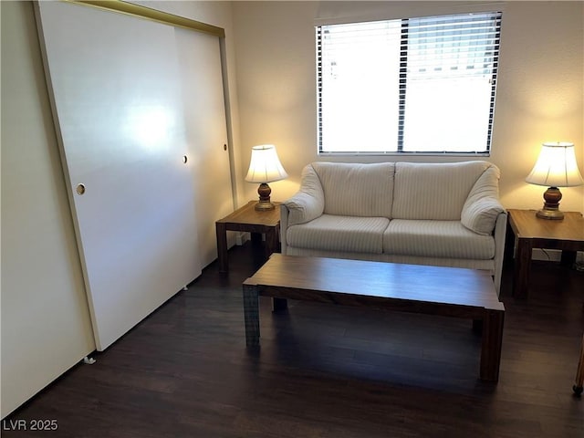 living room featuring wood finished floors