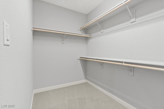 spacious closet featuring light colored carpet